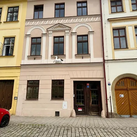 Apartman Hradec Kralove - U Bileho Kone *